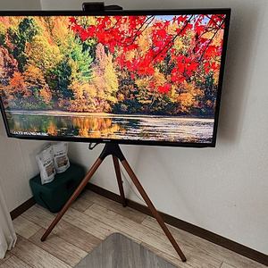 (천안) 삼성 50인치 TV (UN50H5010AF) 판매