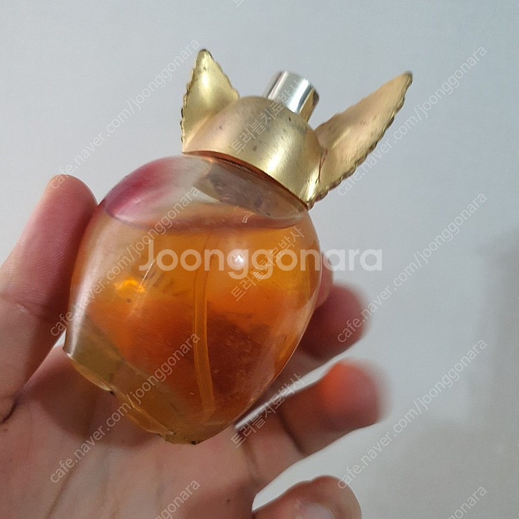 폴로믹 edt 50ml 향수 (5)--1
