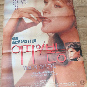 영화포스터1991년작 여자의본능