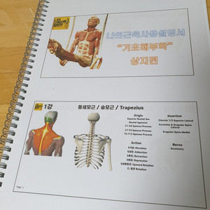 나의 근육 사용 설명서- 상지편