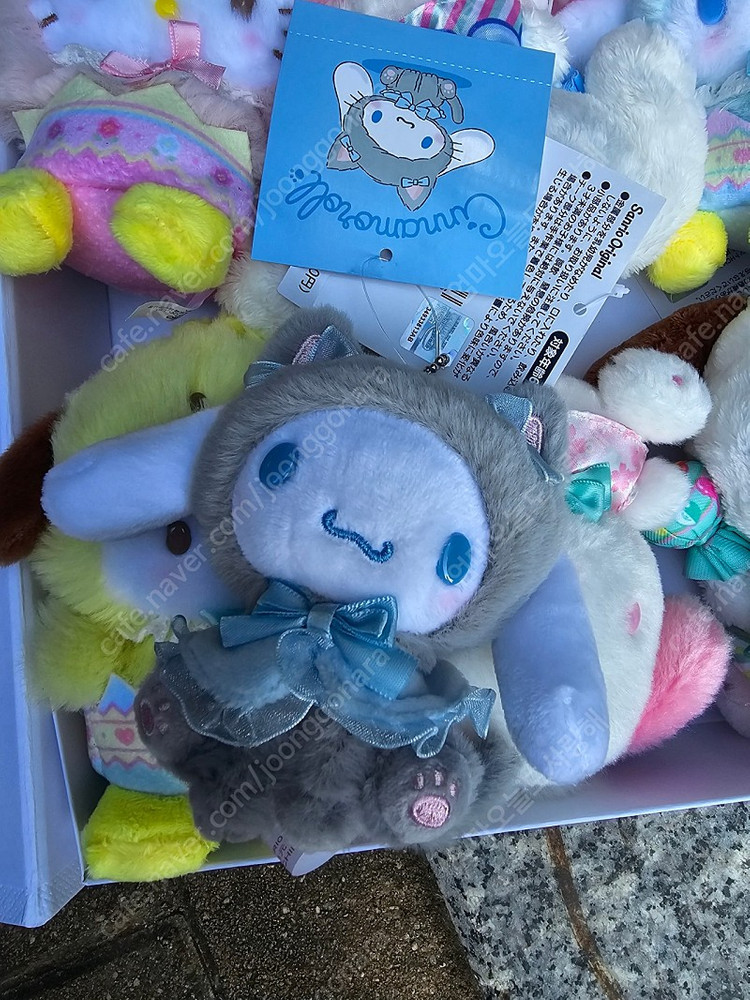 정품구분하는방법알려주세요 산리오마스코트인형 키티마이멜로디시나모롤포차코 이미지