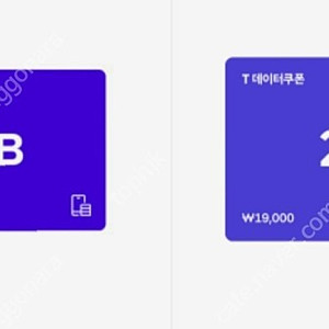 SK 데이터쿠폰 5GB 2GB