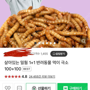 생밀웜