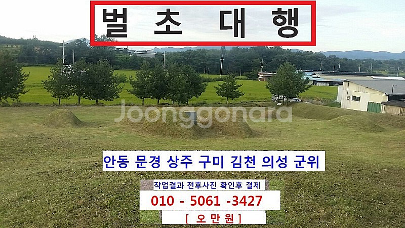 벌초대행 합니다. 경북 : 상주,문경,안동,구미,김천,...--0