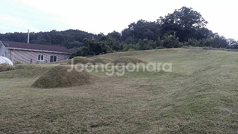 벌초대행 합니다. 경북 : 상주,문경,안동,구미,김천,...--1