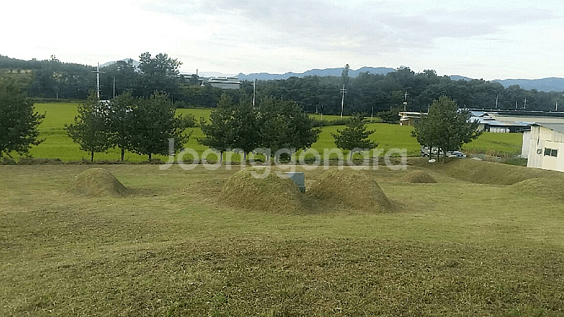 벌초대행 합니다. 경북 : 상주,문경,안동,구미,김천,...--2