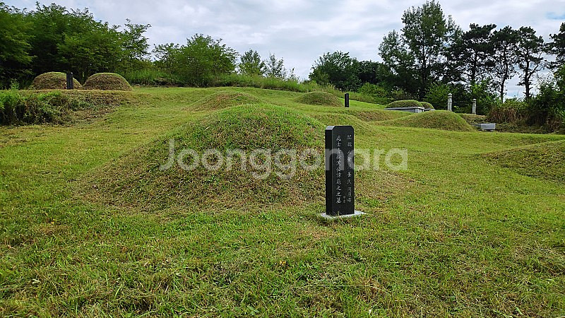 벌초대행 합니다. 경북 : 상주,문경,안동,구미,김천,...--4