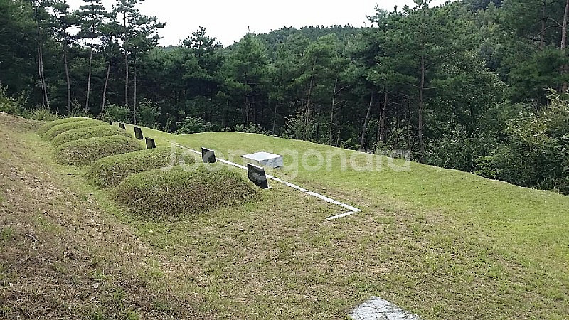 벌초대행 합니다. 경북 : 상주,문경,안동,구미,김천,...--7