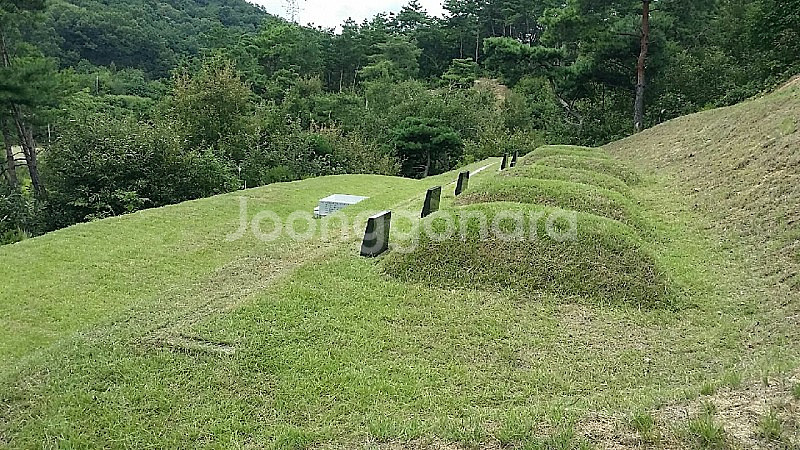 벌초대행 합니다. 경북 : 상주,문경,안동,구미,김천,...--8