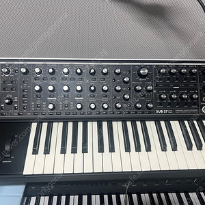 Moog sub37 팝니다.