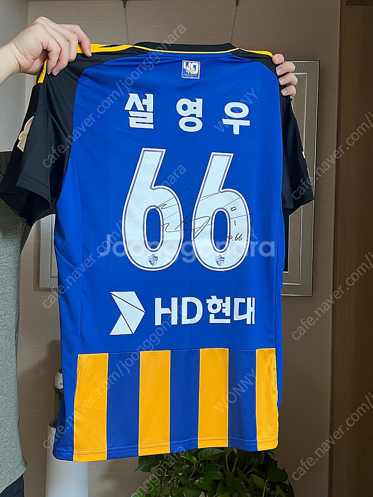 울산현대 설영우 23시즌 유니폼 팝니다(싸인있음)--0