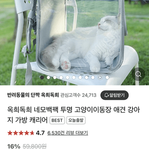 옥희독희 고양이 강아지 투명 백팩