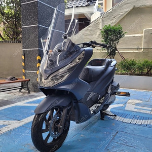 부산 pcx125 멧블루