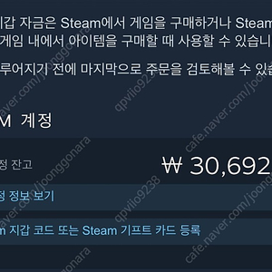 스팀월렛 30000-> 25000 판매