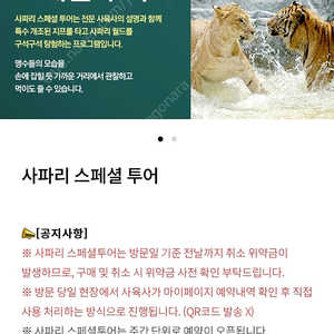 에버랜드 9월14일 사파리스페셜투어