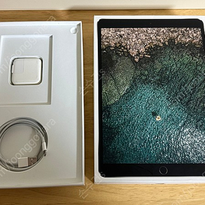 아이패드 프로 2세대 10.5인치 256 wifi 풀박 + 펜슬