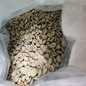 (가격인하) 커피 생두 케냐AA (Othaya) PLUS kg-13000원에 판매합니다.