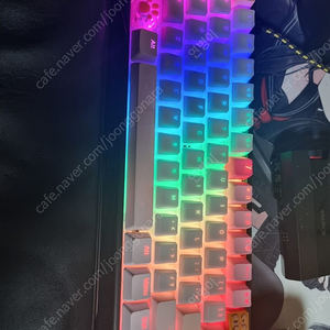 wotthing 60he 랑 apex pro tkl 이랑바꾸실분