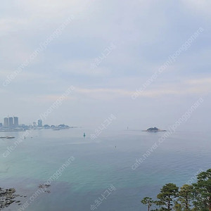 10월2일 속초롯데리조트 패밀리객실(콘도형)양도합니다.