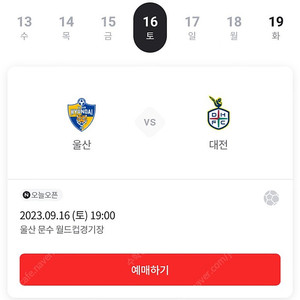 울산현대 vs 대전하나시티즌 스탠딩석 2연석 정가양도