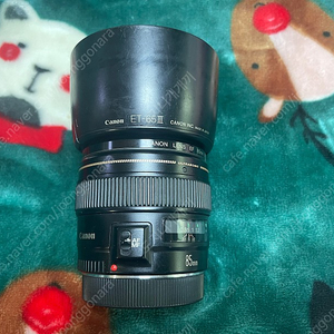 캐논 ef85.8 애기만두