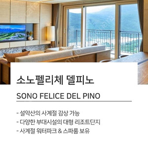 [양도] 델피노 소노펠리체 실버스위트 2박