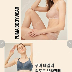 푸마 볼륨 풀컵 드라이셀 브라팬티 6종세트(80C/95)