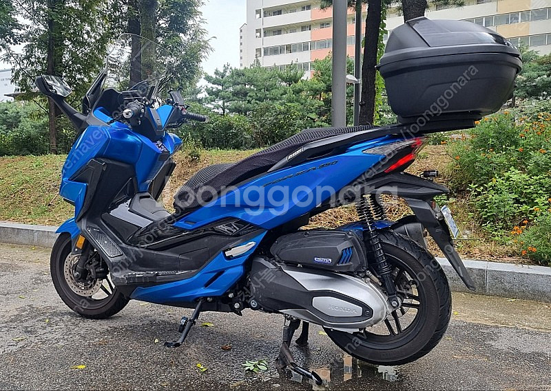 22년 6월출고 포르자350 캔디블루 팝니다.--3