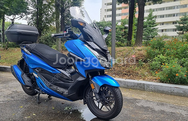 22년 6월출고 포르자350 캔디블루 팝니다.--5