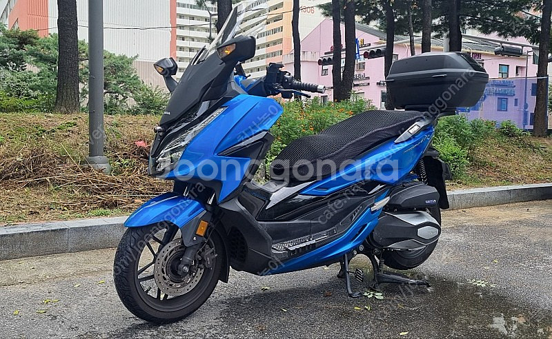 22년 6월출고 포르자350 캔디블루 팝니다.--6
