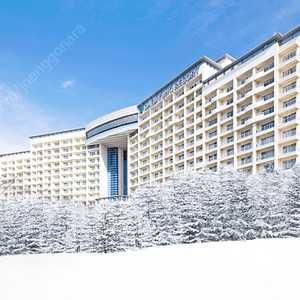 소노벨 경주(9월28일) 스위트(취사) 양도합니다. 추석연휴첫날