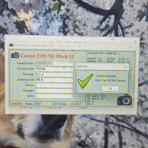 캐논eos 5d mark2 정품 상태최고 15,754컷 팔아요