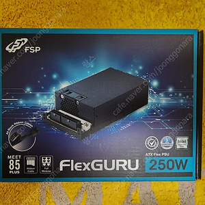 FSP FlexGURU 250W 1u/flex 파워