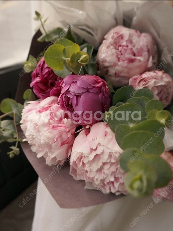 🩷 여아 한복 (9호)--2