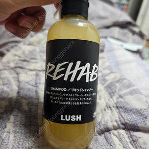 러쉬 리햅 샴푸 250g lush rehap