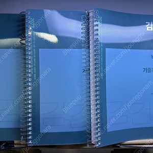 김건호 헌법 찐합노, 비헌기 (찐합격노트, 비교불가헌법기출) 완전새거, 스프링분철