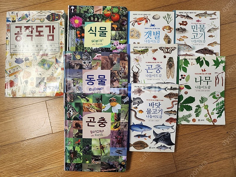 보리세밀화 나들이도감 및 도감류--0
