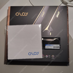 oloy 올로와이 ddr5-6000 cI32 32GB