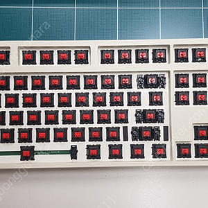 레오폴드 FC900R PD 에버그린 한정판 적축 본체 (마산 직, 택배)