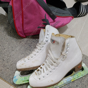 라이델 피겨스케이트