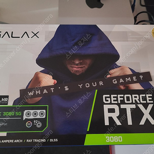 갤럭시 RTX 3080 10G