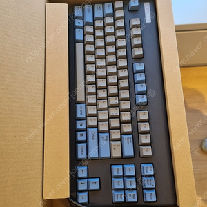 Realforce 87uskd 10th