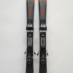 노르디카 144cm 길이 초급 초중급용 입문용 스키 판매