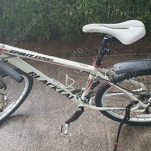 첼로 블랙캣 엑스퍼트 스피릿 mtb 자전거