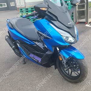 포르자 350cc 22년식 팝니다