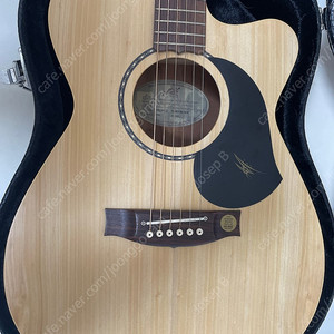 메이튼 Maton EBG808CL Performer