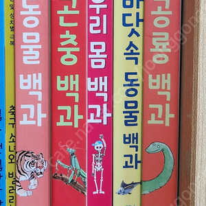 어스본 엄청나게 큰 백과 시리즈 5권. 새 책 컨디션. 반값택포 33000원