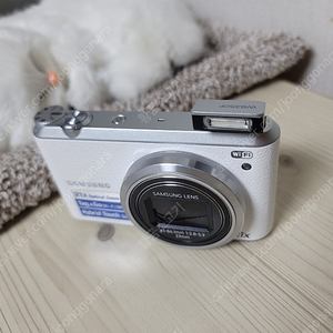 Samsung WB350F 광학 21x 디카 카메라