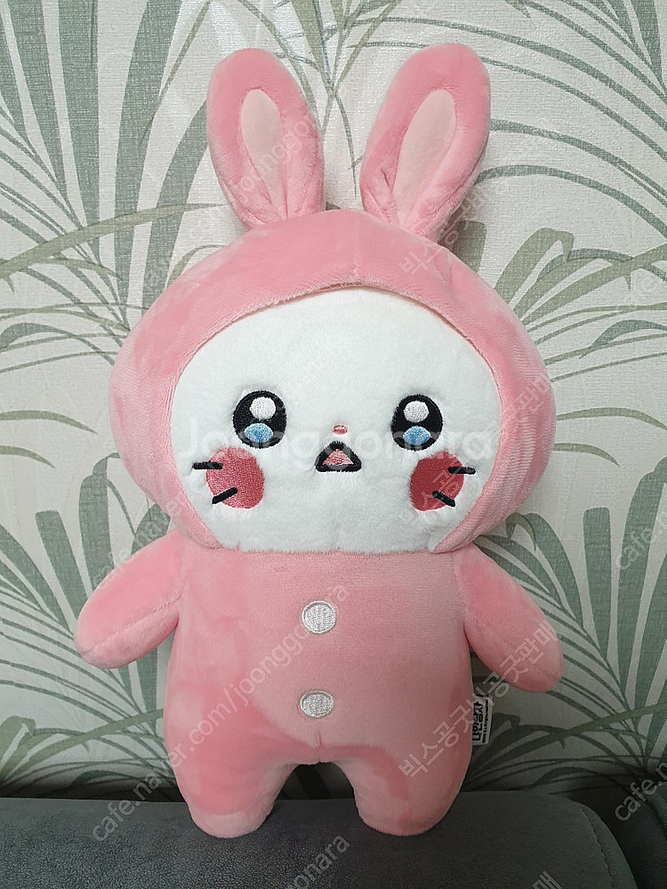 인형팝니다(시나모롤, 곰돌이, 춘식이, 냐한남자)--0