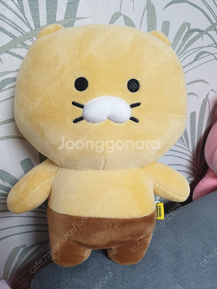 인형팝니다(시나모롤, 곰돌이, 춘식이, 냐한남자)--3